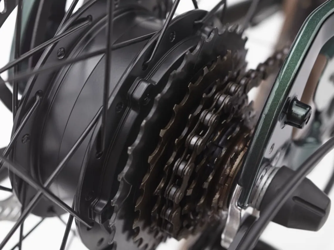 Trek Bikes Townie Go! 7D EQ Step-Over Best
