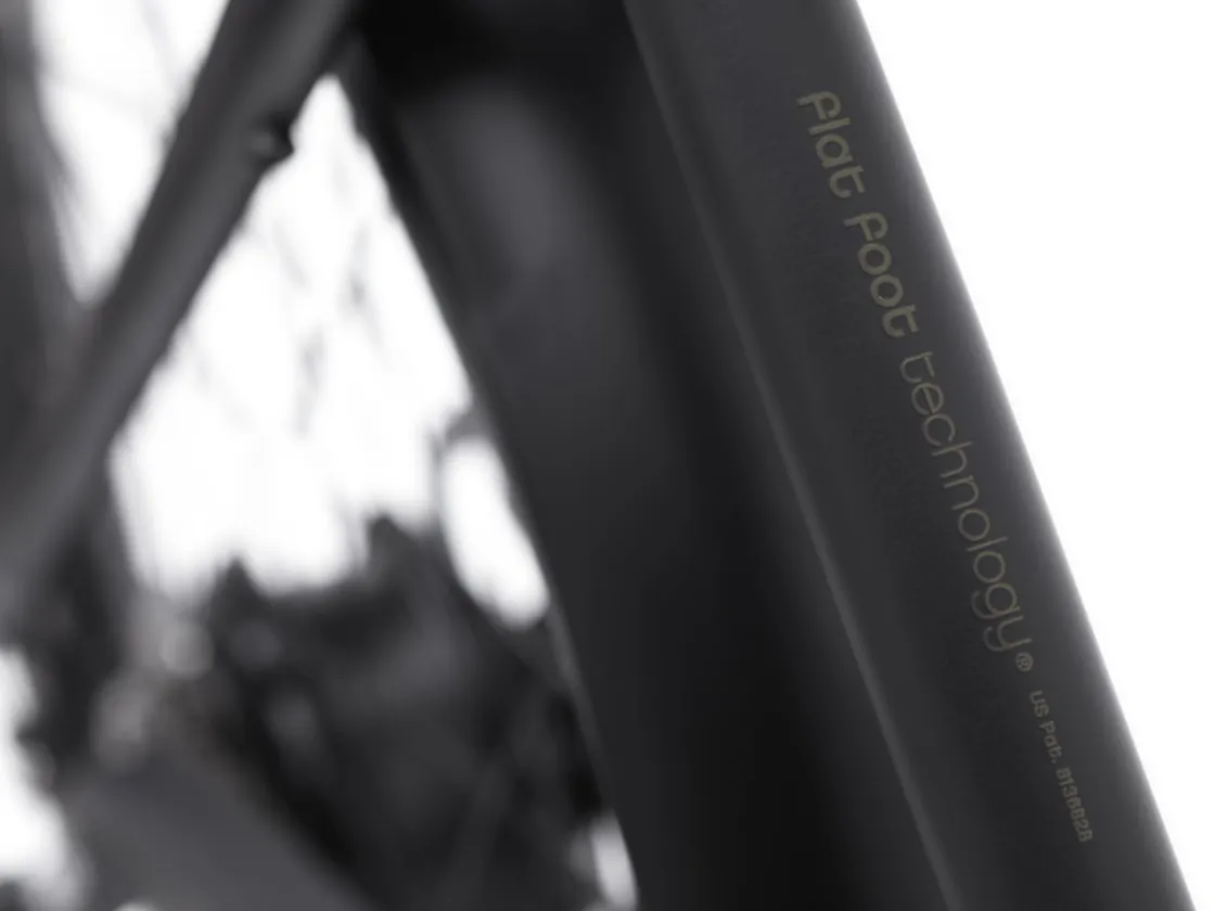 Trek Bikes Townie Go! 7D EQ Step-Over Best