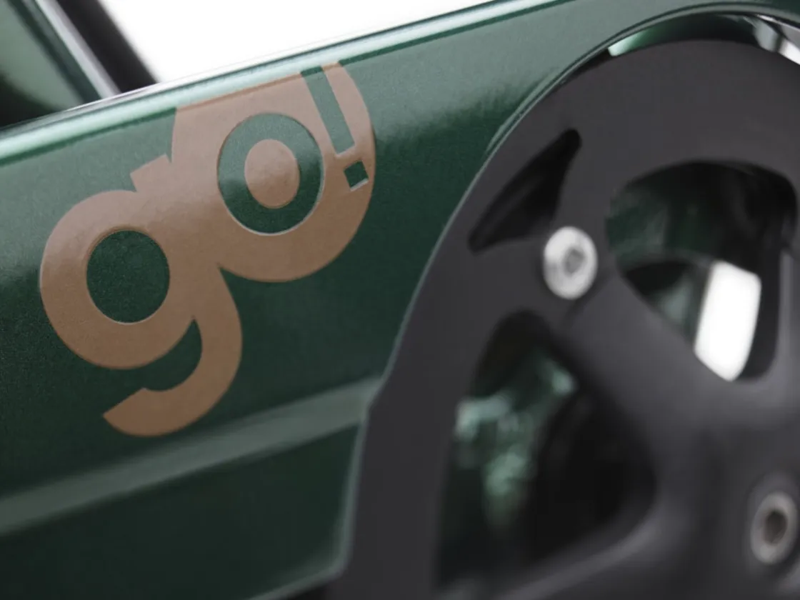 Trek Bikes Townie Go! 7D EQ Step-Over Best