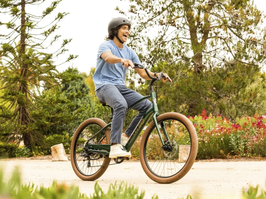 Trek Bikes Townie Go! 7D Step-Over New