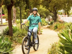Trek Bikes Townie Go! 7D Step-Over New