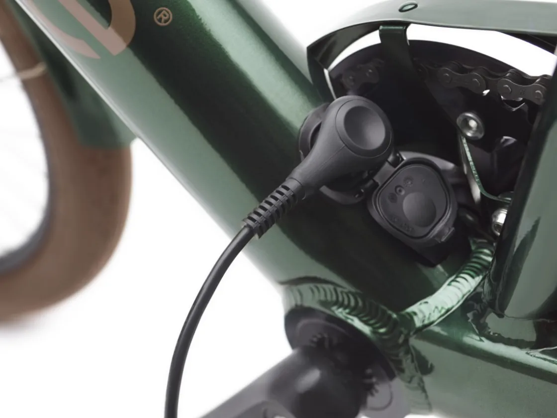 Trek Bikes Townie Go! 7D Step-Over New