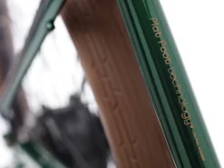 Trek Bikes Townie Go! 7D Step-Over New