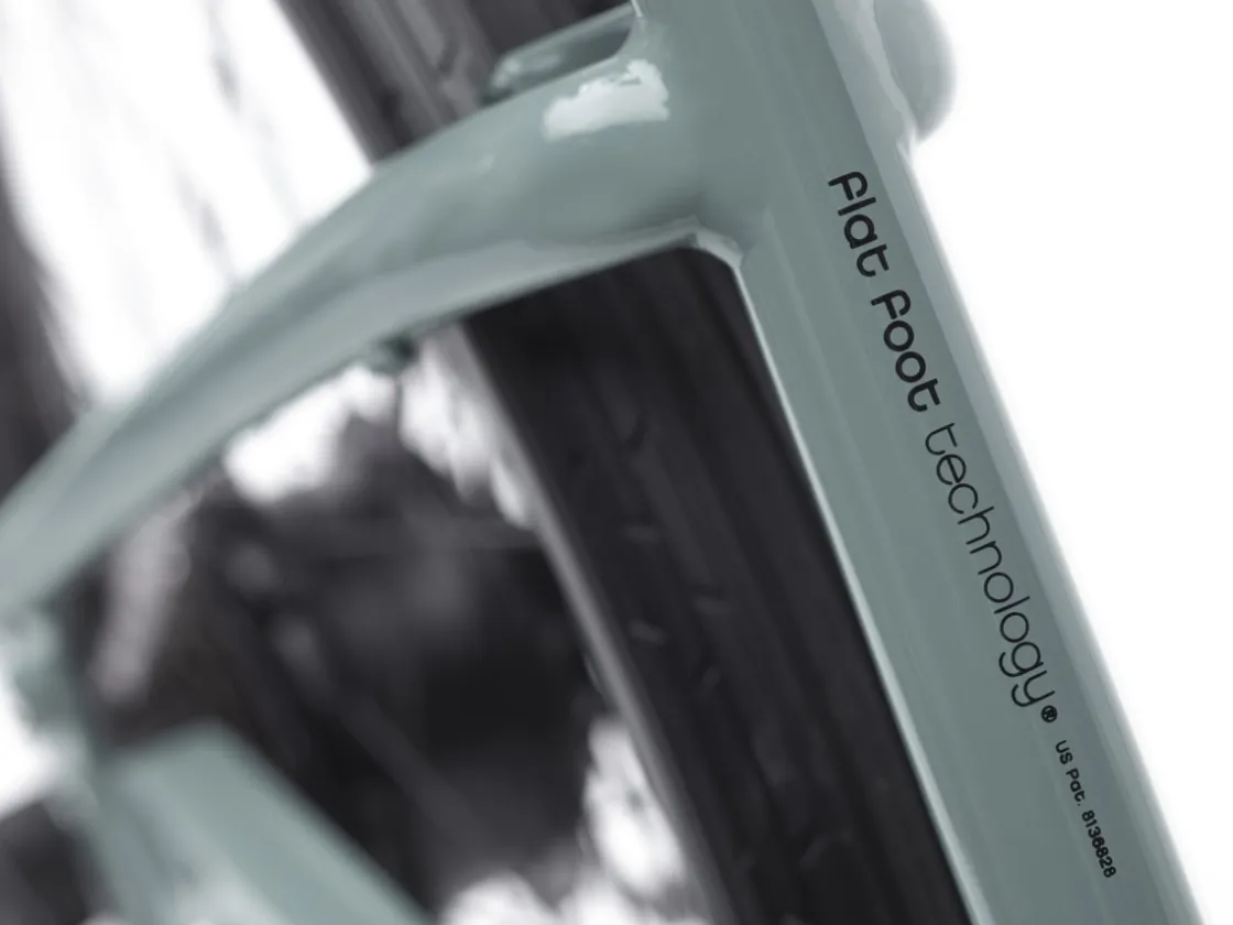 Trek Bikes Townie Go! 7D Step-Thru Best