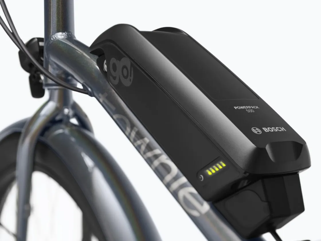 Trek Bikes Townie Go! 5i EQ Step-Over Clearance