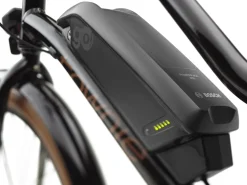 Trek Bikes Townie Go! 5i EQ Step-Thru Cheap