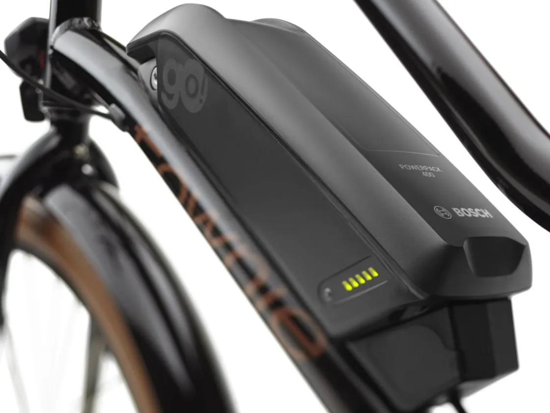 Trek Bikes Townie Go! 5i EQ Step-Thru Cheap