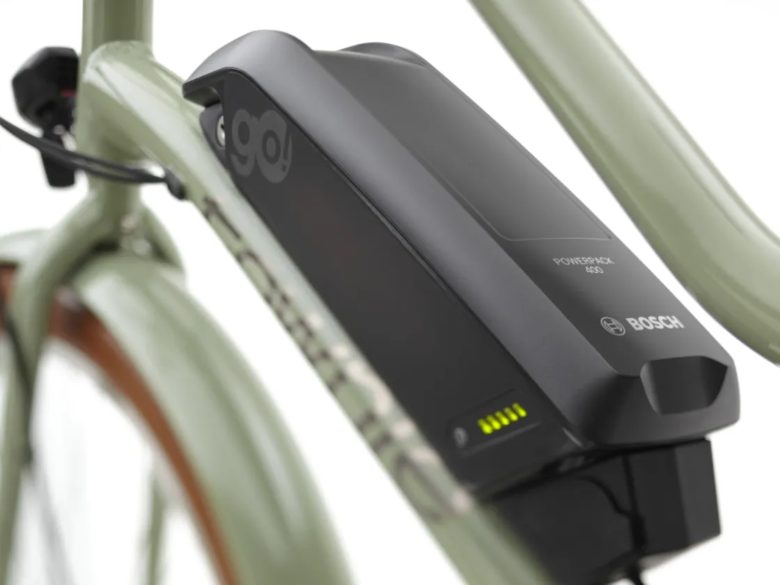 Trek Bikes Townie Go! 5i EQ Step-Thru Cheap
