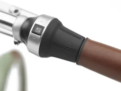 Trek Bikes Townie Go! 5i EQ Step-Thru Cheap
