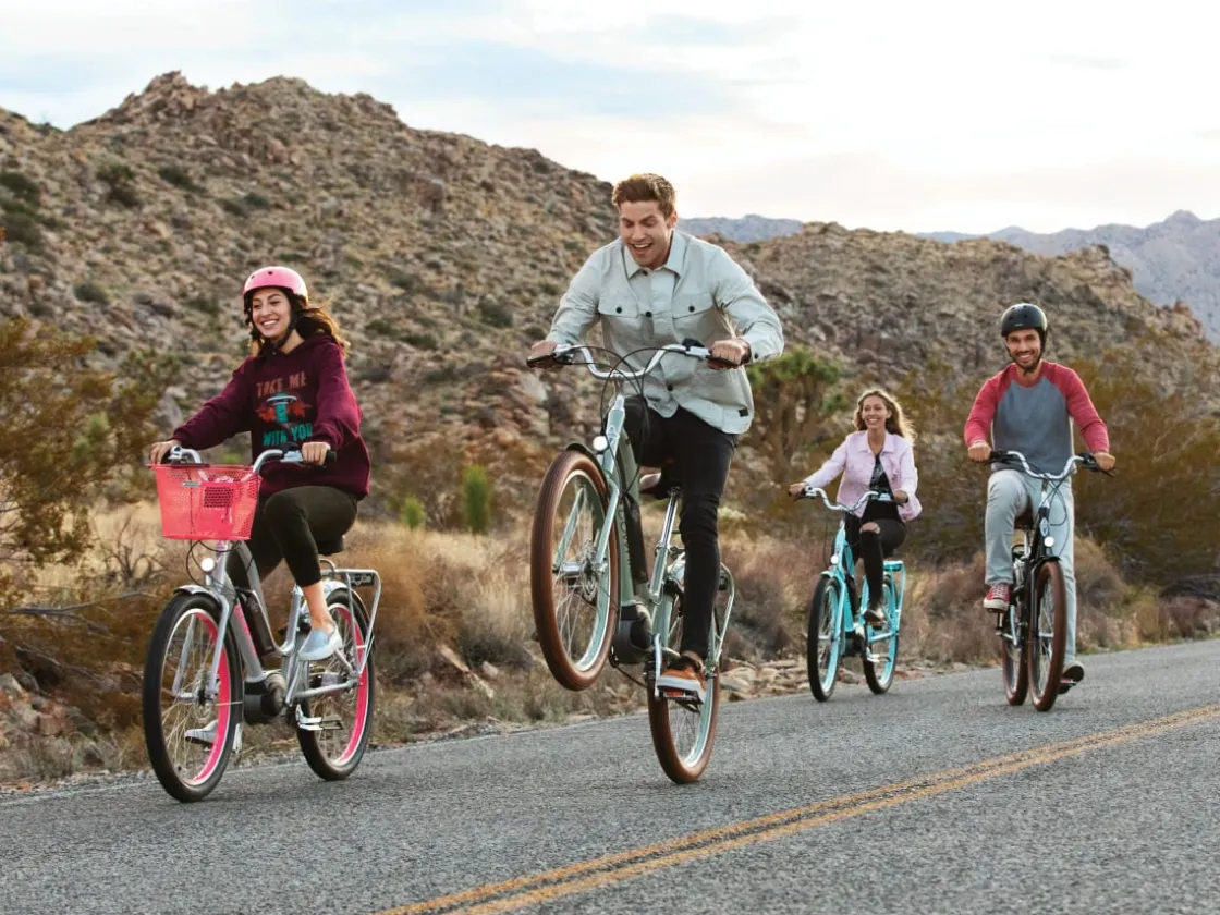 Trek Bikes Townie Go! 5i EQ Step-Thru Cheap
