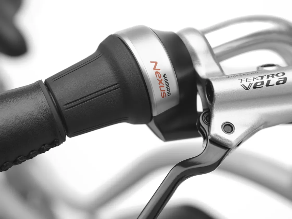 Trek Bikes Townie Go! 5i EQ Step-Thru Cheap