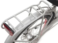 Trek Bikes Townie Go! 5i EQ Step-Thru Cheap