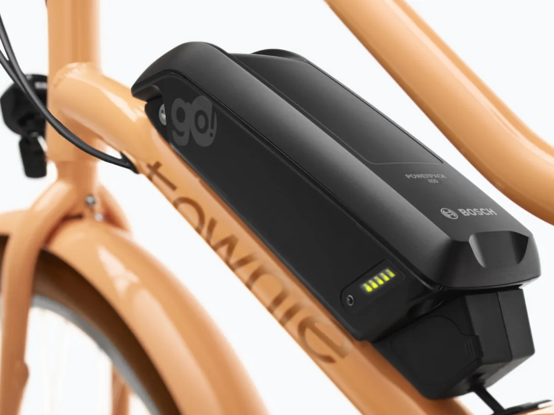 Trek Bikes Townie Go! 5i EQ Step-Thru Cheap