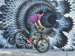 Trek Bikes Townie Path Go! 10D EQ Step-Over Sale