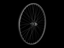 Trek Bikes Trek Alex DP23/Centerlock 36H Bolt-on 700c Wheel Black Store