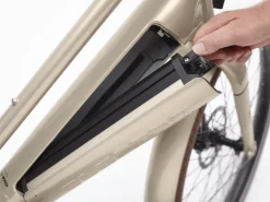 Trek Bikes Vale Go! 9D EQ Shop