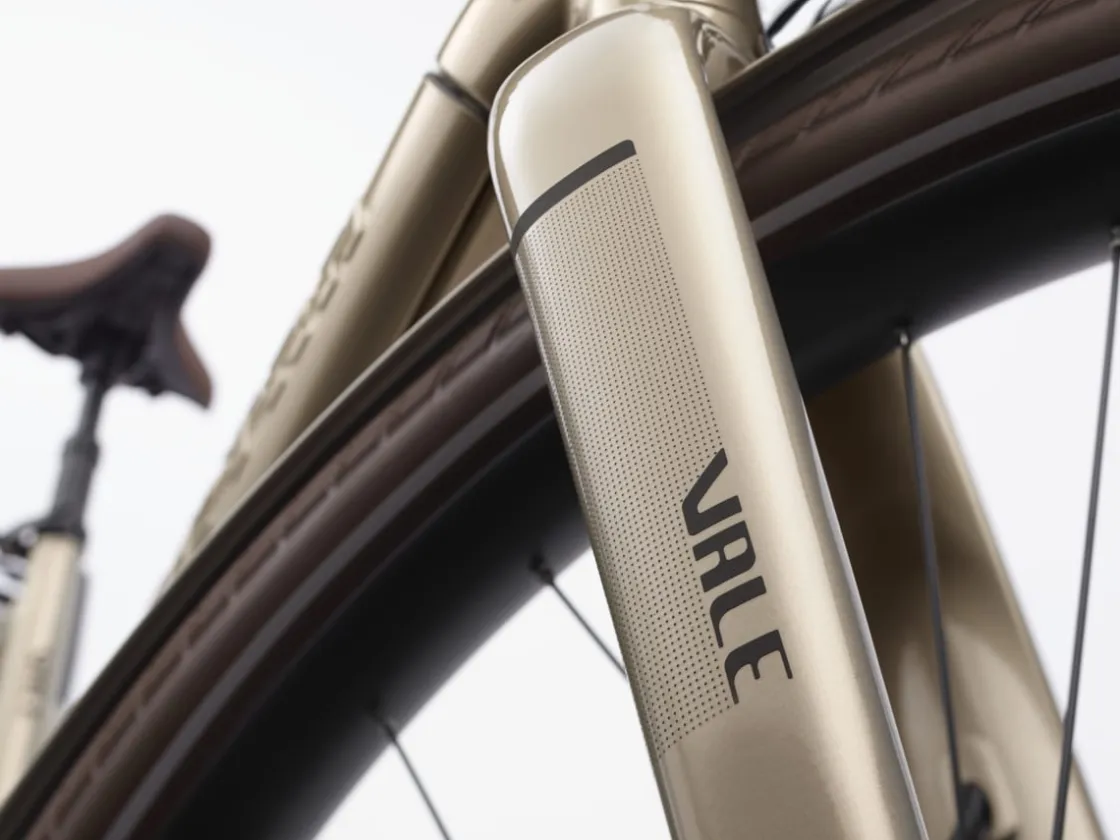 Trek Bikes Vale Go! 9D EQ S Clearance