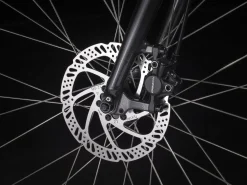 Trek Bikes Verve 2 Lowstep Gen 4 Online